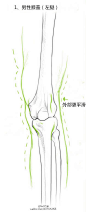 #绘画学习# 关于膝盖的设计绘制学习，需要了解的一些小 tips。（1-5 by CGCookie)