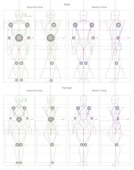 #绘画参考# #绘画基础# 各种人体比例...