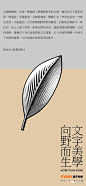 图片 (5)