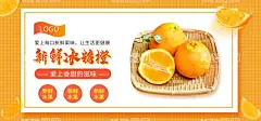 冰糖橙  - 源文件下载【酷图网】冰糖橙,励志橙,鲜橙,广西皇帝柑,桔子,橘子,皇帝柑,柑子,沙糖桔,脐橙,甜橙,橙子海报,橙子展架,水果海报,水果展架,橙子包装,皇帝青果柑,新鲜水果,甜橙子,新鲜采摘,贡柑,橘子水果,新鲜桔子,蜜桔,柑橘,芦柑,椪柑,贵妃柑,现摘,黄岩蜜橘子,无核桔子,甜桔,进口夏橙,橙子,水果设计,柑桔蔬果海报,
