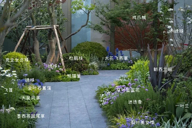 【植物配置】长效花境案例分享 - 小红书-花瓣网