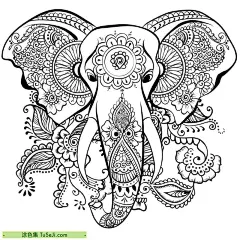 10张狼图腾以及更多大象变色龙动物主题曼陀罗涂色图纸 - 涂色集，涂色画打印大图