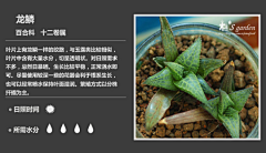 belltoy采集到常见多肉植物图鉴