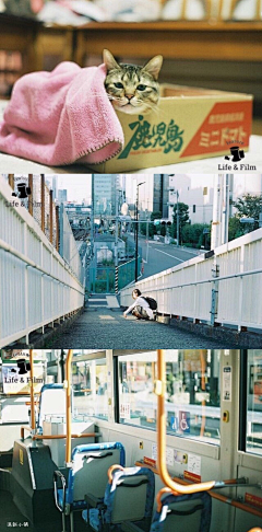 許許小怪物采集到静距离展现你的美（清新、唯美）