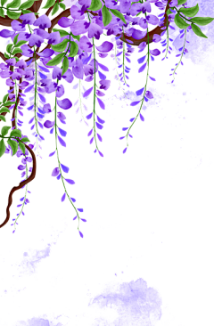 用户V0eMvbcC采集到花
