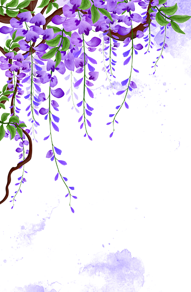 紫藤花藤蔓