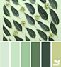 Color Nature | Design Seeds : { color nature } | image via: @rotblaugelb