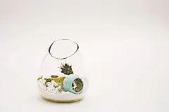 litill的盆景设计