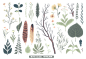 手绘涂鸦水彩秋季素材高清PNG免扣元素秋天枫叶蘑菇精品【点击图片加入设计群】——@♥⺌恋蝶︶ㄣ设计
