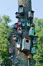 小鸟笼,古老的,悬挂的,树干,多色的,巢箱,垂直画幅,天空,公园,洞