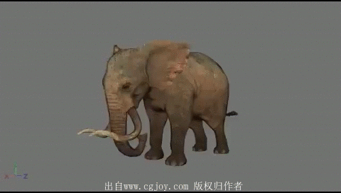 【新提醒】鳄鱼 大象 马的攻击 死亡 受...