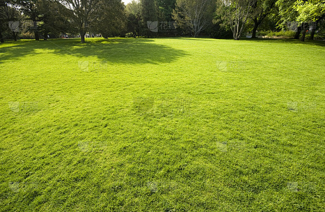 草地图片_树木草地图片素材花瓣网