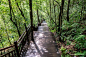 普洱国家森林公园.jpeg (720×480)