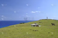 牧场,与那国岛,技术,著名景点,八重山群岛,户外,晴朗,日本,冲绳县,灯塔楼