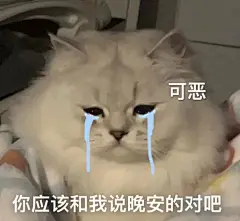 适合发给男朋友的可爱猫猫表情包 - 小红书