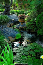 【造，一个有水花园！】院子有水，才有灵气！如果能在房子边上建造一个幸福和放松的梦想绿洲——有山有水有植物的花园，将会是一件多么幸福的事情~O网页链接 ​​​​