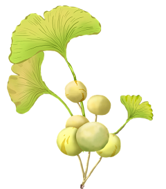 子LL鱼W采集到植物插画