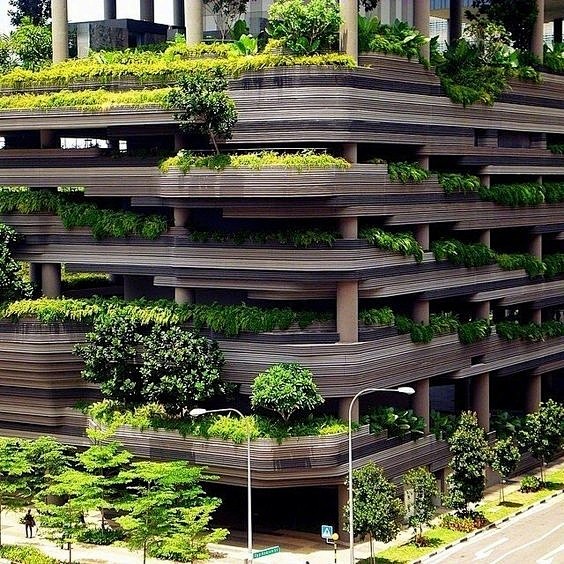 建筑设计·垂直绿化