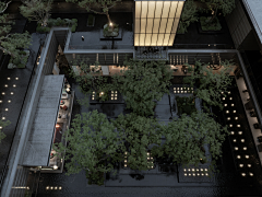 Salyde采集到下沉庭院