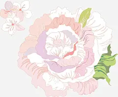 浅色月季_新图网 https://ixintu.com 装饰 手绘 好看 实用