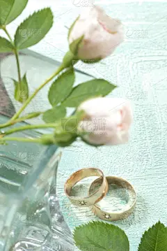 结婚戒指,垂直画幅,贺卡,无人,珠宝,玫瑰,结婚的小礼物,两个物体,仅一朵花,刀刃草