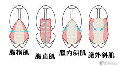行天之道总萌一切采集到A【基础】