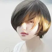 Maison灰雁