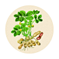 手绘枸杞,食品包装,包装设计,设计,汇图网www.huitu.com