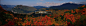 首页-四川米仓山野生特产店-淘宝网