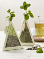 ♂ creative packing minimalist design Teepyramiden als Geschenk für Teeliebhaber. Is this a DYI tea bag?