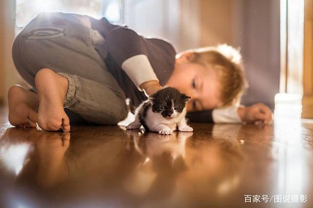 原来孩子和猫咪一起拍照，是这么的美！