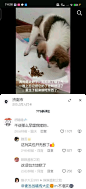 地狱笑话吧_百度贴吧