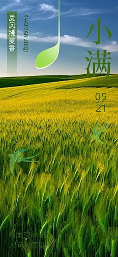 二十四节气小满宣传海报