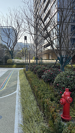 万宗吉采集到种植idea