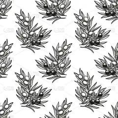 无缝图案与橄榄枝
