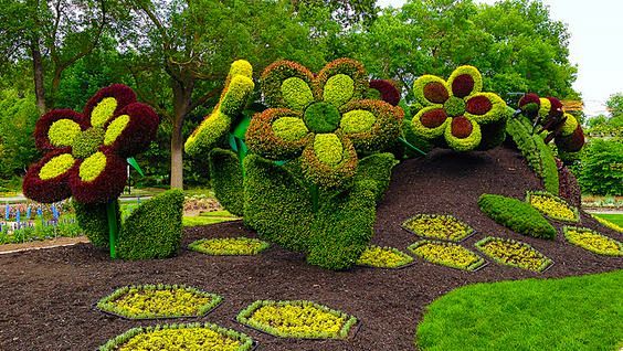 flowersoflifephotobyandrevandalavdezignviaflickratthe2013mos