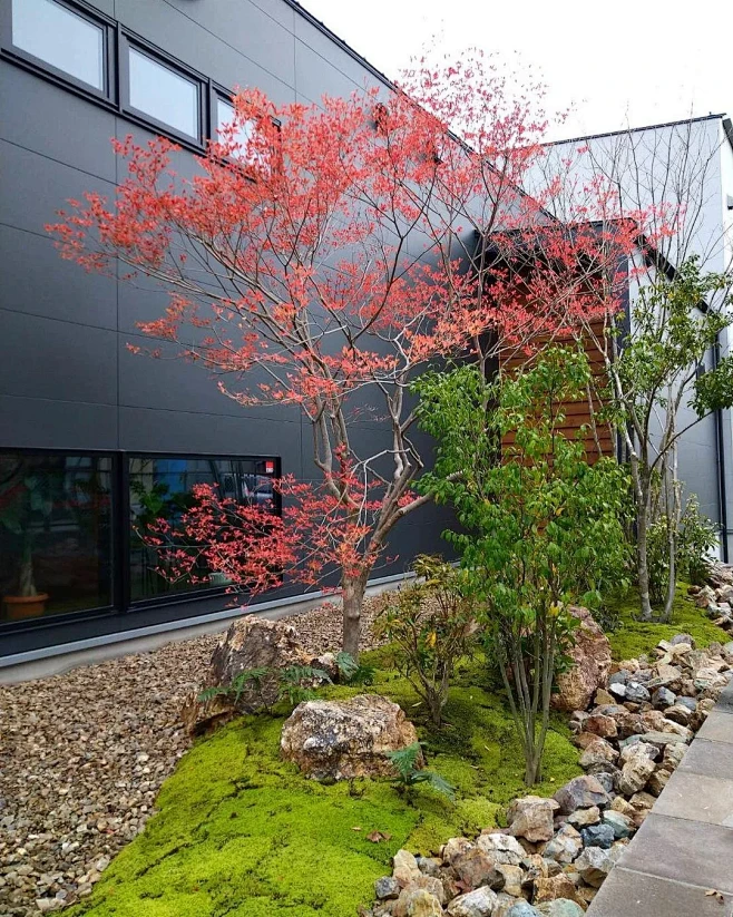 庭相|不同大小的砾石造景