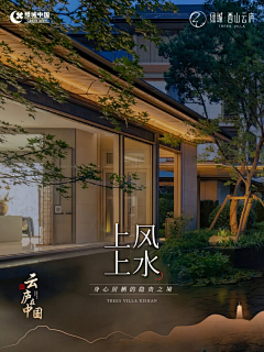 浮云长风采集到版式-图文