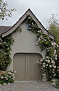 FleaingFrance.com (thelittlefrenchbullblog: Climbing Roses  {by...)