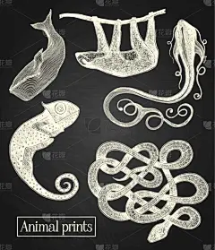 动物,野生动物,铅笔,蛇,哺乳纲,变色龙,复古,绘制,剪影