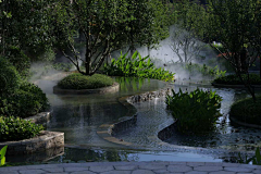 又丸子采集到水景——低