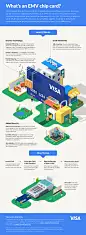 VISA infographics