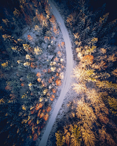 bor~~~采集到Aerial photo（航拍）