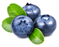 蓝莓 (7)