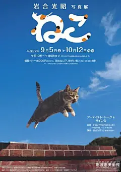 小猫海报