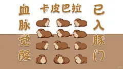 水豚卡皮巴拉｜电脑壁纸｜豚门 - 小红书