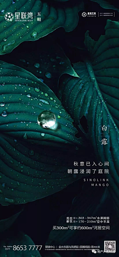 梅少侠采集到24 节气