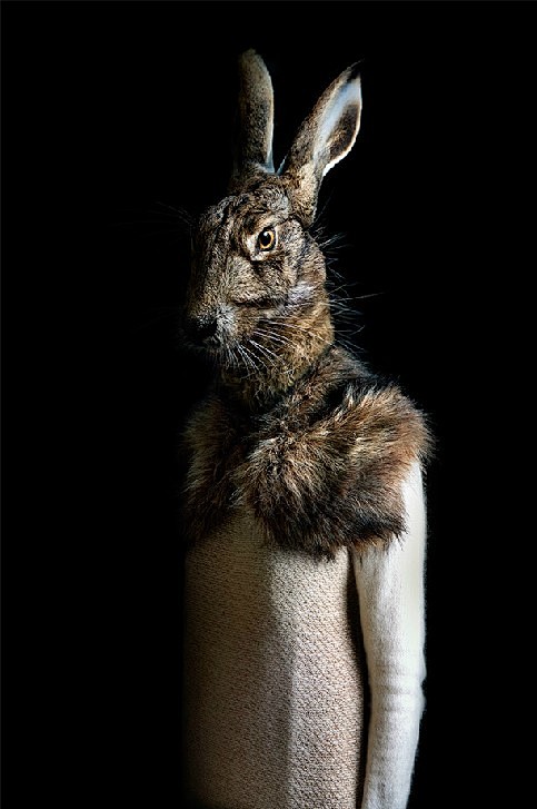 Miguel Vallinas Segu...