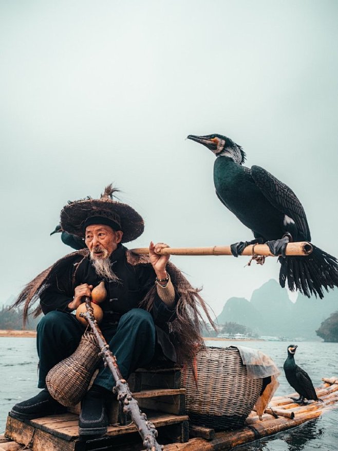 桂林“鸬鹚渔民”

华裔澳大利亚摄影师 ...