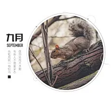 朋友圈封面、菜单、酒水单，更多模版就在“创客贴线上设计”，优惠卷、海报封面、邀请函、ppt、传单、名片、工作证、会员卡、明信片、桌面、手机背景、新闻稿、简历、淘宝美工、订阅号主图、各种模版，大量免费素材免费模版！快来使用吧~~www.chuangkit.com